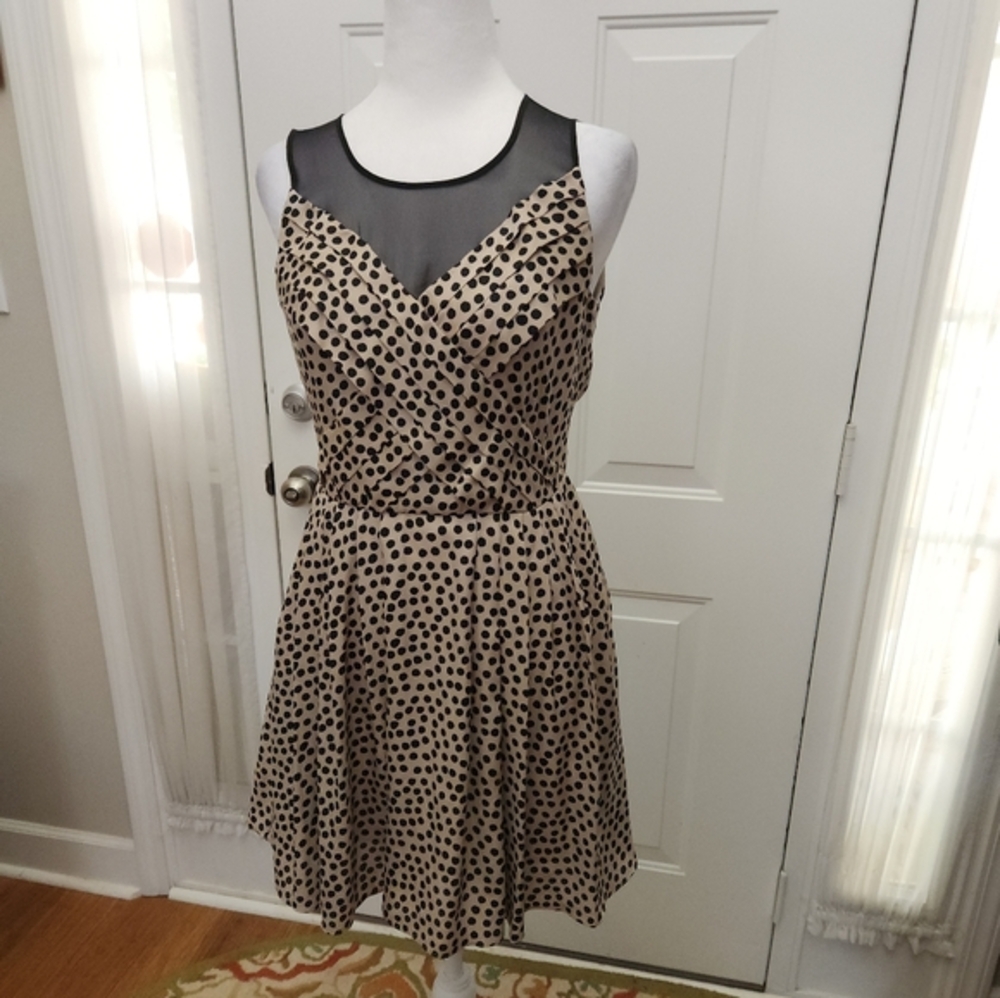 BCBGeneration‎ Black and Tan Polka Dot Dress   Size 2